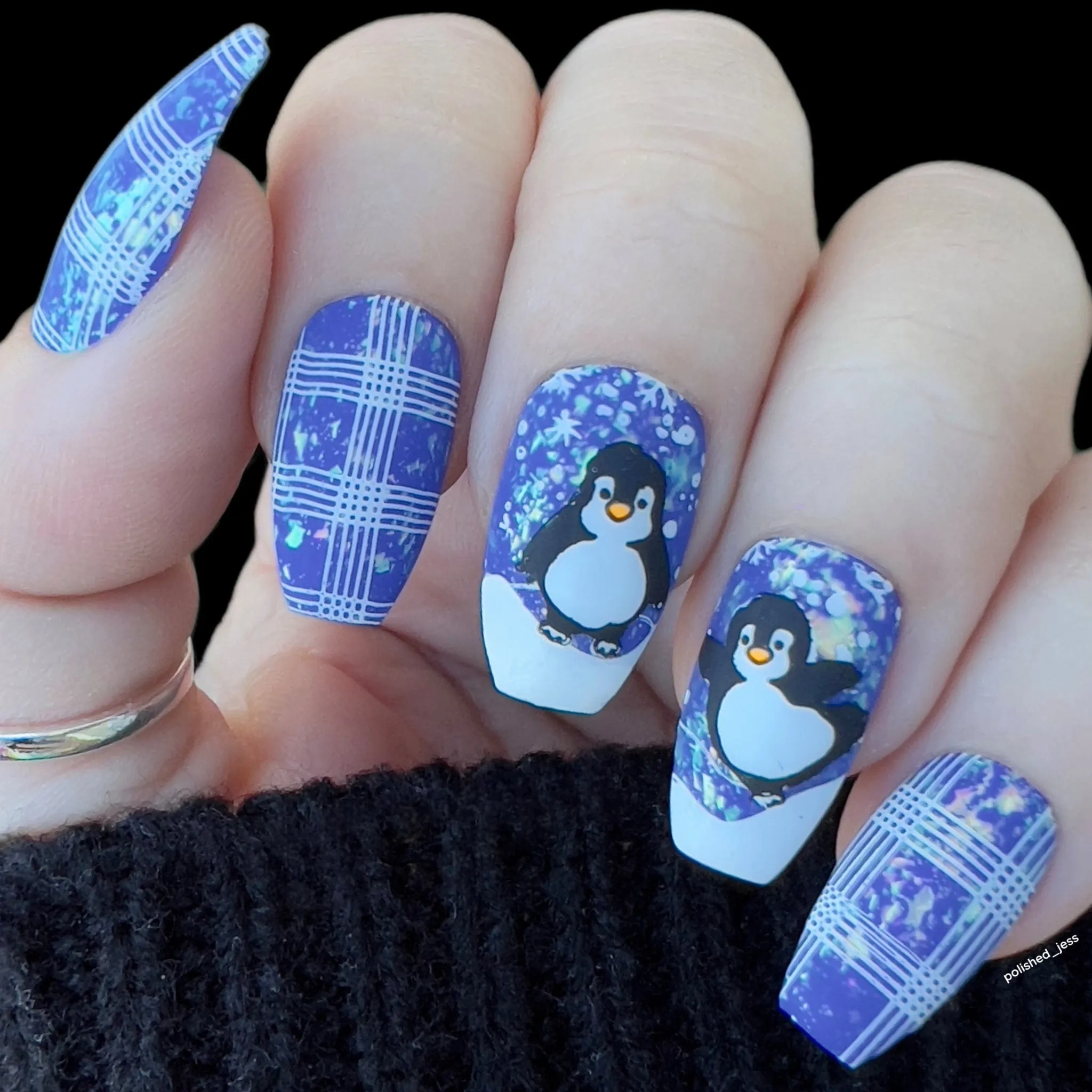 Arctic Penguin: Nail Stamping Starter Kit