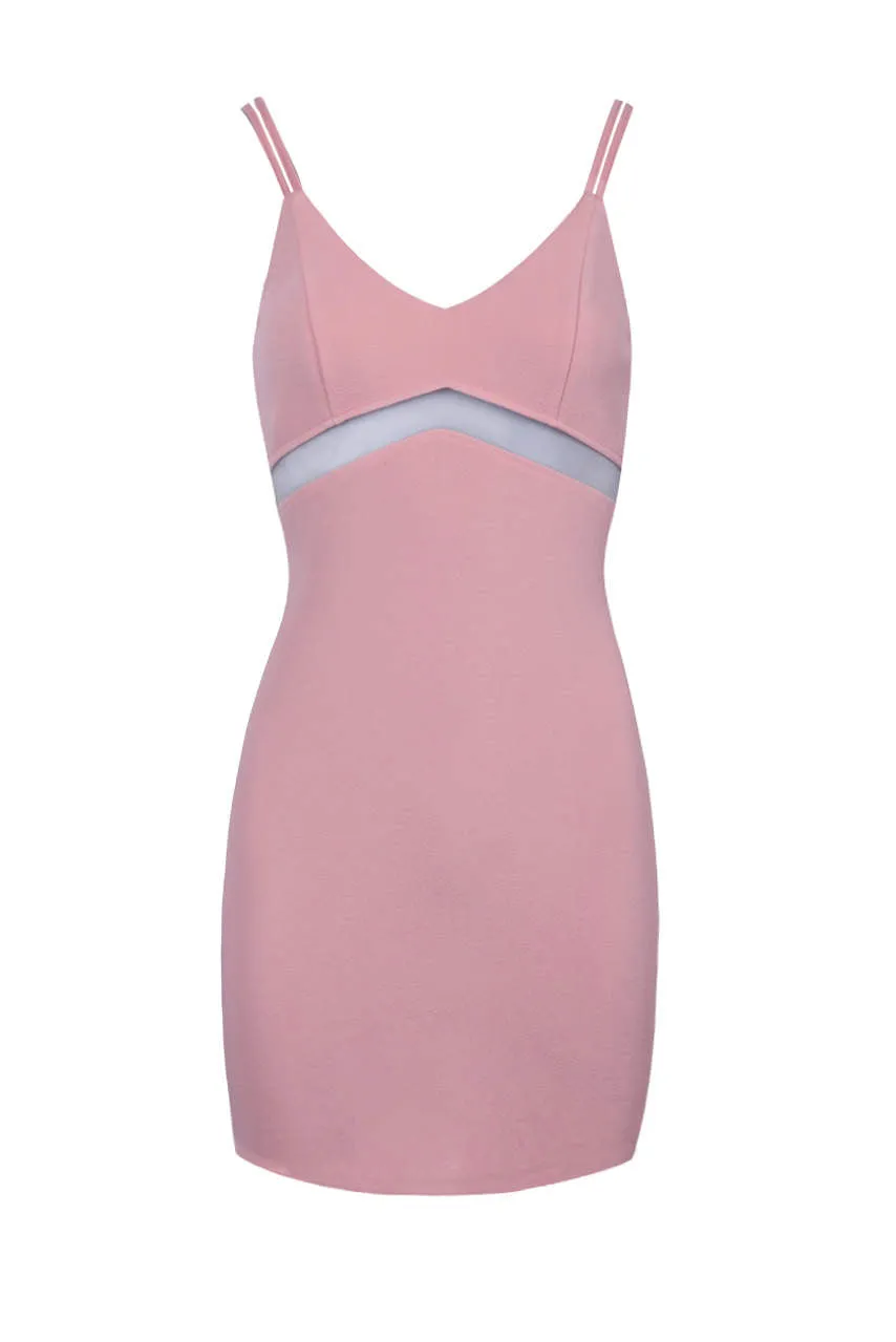 Blush Mesh Bodycon Mini Dress