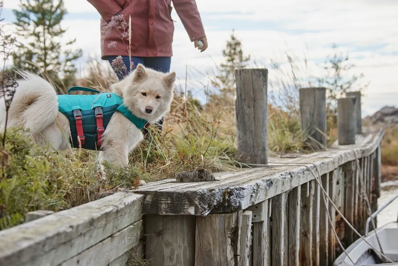 Hurtta Dog Swim Coat: Life Saviour Eco, Peacock