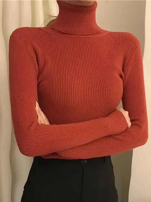 Ivyshape | Cozy Turtleneck Sweater for Women